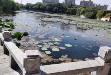 徐州汉文化景区7