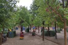 句容甲山下景区10