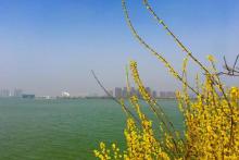 云龙湖旅游景区18