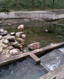 栖霞区河长制主题公园1