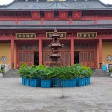 南京上国安寺1