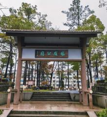 凤岭公园2