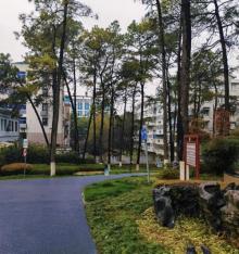 凤岭公园3
