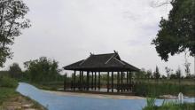 滨江新城公园2