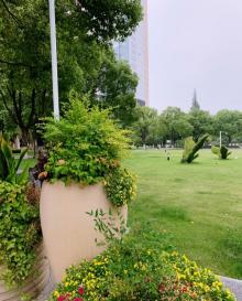 鼓楼市民广场3