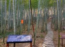 秋湖山4