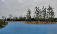 江宁滨江公园2