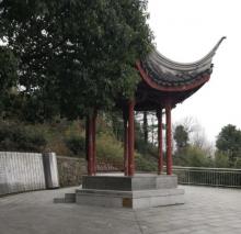 金牛山公园5