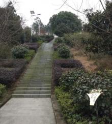 金牛山公园3