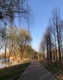 浦口滨江湿地公园5