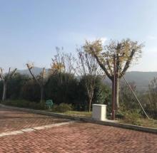 南京市学生阳光体育营地6