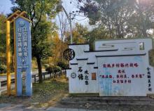 南京市学生阳光体育营地3