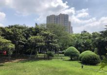 扬子石化3