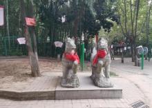 石羊公园5