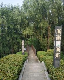宝塔山遗址公园4