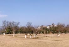 中央体育场8