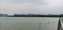九龙湖南湖公园1