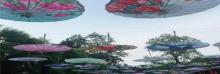 景华生态园13