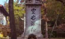 灵谷深松1