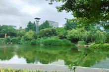 河西城市生态公园2