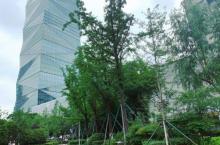 河西城市生态公园3