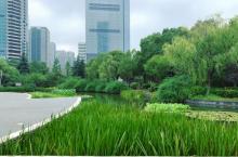 河西城市生态公园4