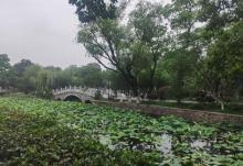 和平广场1