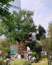 大钟亭公园17