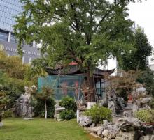 大钟亭公园9