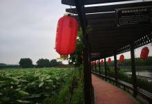 水一方生态休闲旅游区5