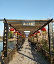 东山香樟园14