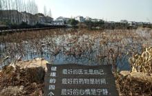 东山香樟园15