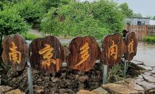 南京多肉植物园3