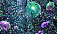 南京独角兽星空失恋博物馆13
