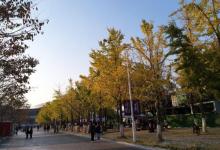 银杏里文化艺术街区30