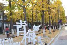银杏里文化艺术街区14