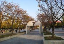 银杏里文化艺术街区26