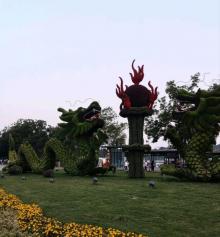玄武湖菱洲5