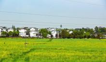 桠溪村2