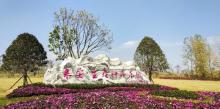 来安兴茂国际旅游度假区22