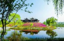 扬州芍药园3