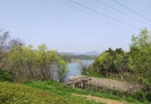 佛手湖公园12