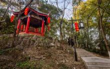 东山公园20
