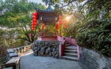 东山公园17