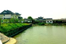 东山公园11