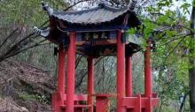 东山公园2