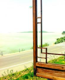 东山公园6