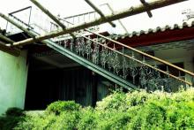 东山公园9