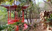 东山公园5