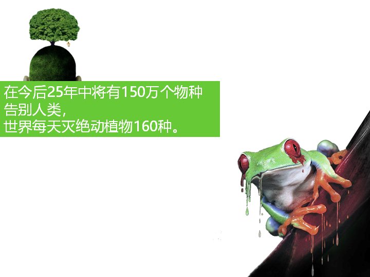 第 27 页缩略图